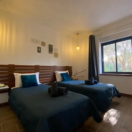 빌라 Vue A 300 M Centre-jardin, Terrasse, Parking Gratuit, Portail Electrique, 2 Chambres, 2 Sdb 포르토베쉬오