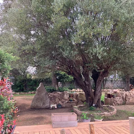 Vue Mer, Jardin Terrasse, Parking Prive A 300m Du Centre-ville De Porto-vecchio بورتو فيكشْيو