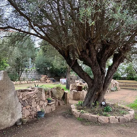Vue Mer, Jardin Terrasse, Parking Prive A 300m Du Centre-ville De Porto-vecchio * بورتو فيكشْيو