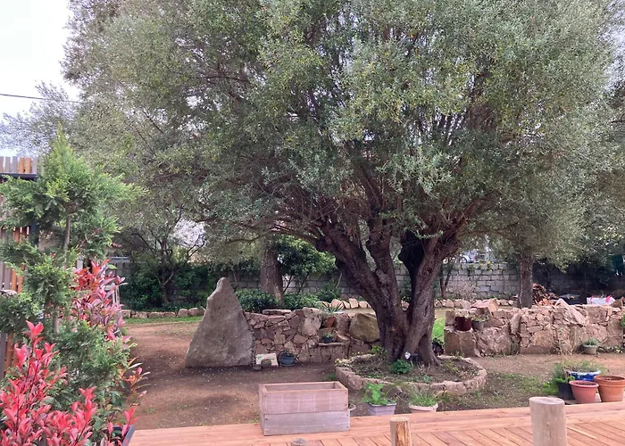 Vue Mer, Jardin Terrasse, Parking Prive A 300m Du Centre-ville De Porto-vecchio بورتو فيكشْيو